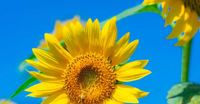 2021年度 夏季休業のお知らせ